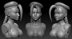Bust - Cammy White 3D print model