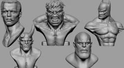 Bust Collection 3D print model