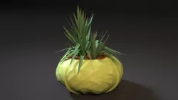  cabbage planter 3D print model