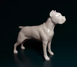 Cane corso 3D print model