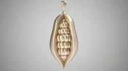 Cocoa Bean Necklace 3D print model