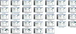 Collection 32 women Bracelets 3dm stl details model  3D print model