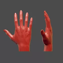 Detailed Female Hand Pose Casual  3D print model
