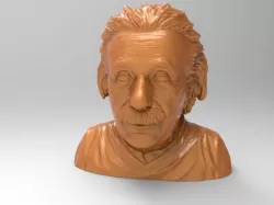 einstein for 3d printing 3D print model