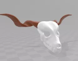 Elias Ainsworth skull 3D print model