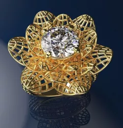 Fancy Ring 3D print model