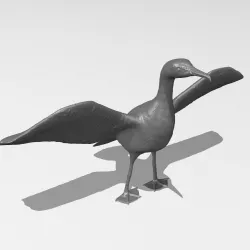 Great Cormorant printable 3D print model
