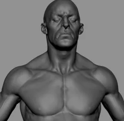 Male Anatomy Printable 3D print model