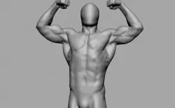 Male Torso v6 3D print model