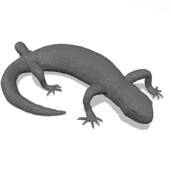 Mexican Beaded Lizard 3D print model