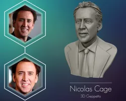 nicolas cage 3d model | Page 1 | STLFinder