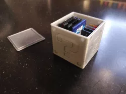 Question Mark SD and Micro SD Cardholder 3D print model