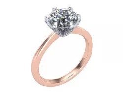 Rose 6 Prong Ring  3D print model
