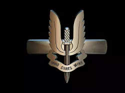 SAS mensring 3D print model