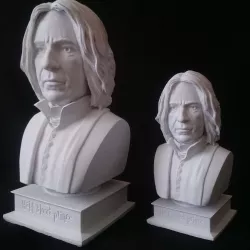 Severus Snape  Alan Rickman  Half-blood prince  Harry Potter 3D print model