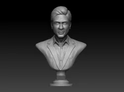 Shahrukh Khan Celebrity Actor 3D print model