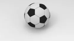 Soccer Ball 3D print model