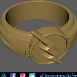 The Flash ring for 3d print 3D print model