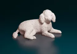 Toy poodle  3D print model