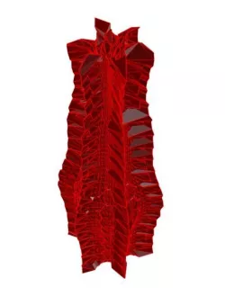 Vase 5-4 3D print model