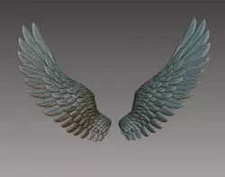 Wings 3D print model