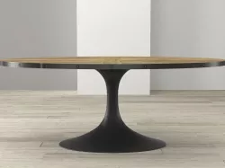 Aero Oval 3D model