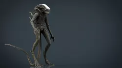 Alien Xenomorph 3D model