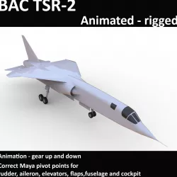 BAC TSR-2 Low-poly  3D model