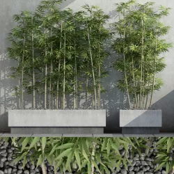 Bamboo 03 3D model