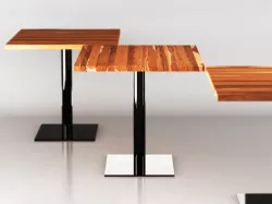 Base Club 3D model