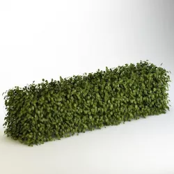 Bush 04 3D model