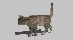 Cat - Rigged Animated Low-poly  3D model