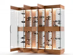 Contemporary Wine Cellar 3D model