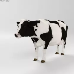 Cow HD 3D model