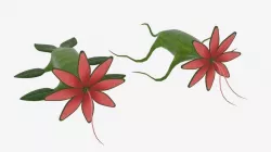  Crawling Monster Flower  Low-poly  3D model