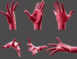 Detailed Female Hand-Fingers Stretched 2 3D print model