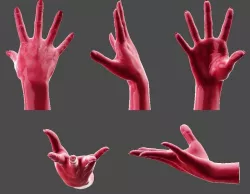 Detailed Female Hand-Fingers Stretched 3D print model