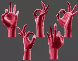 Detailed Female Hand-Okay Pose  3D print model