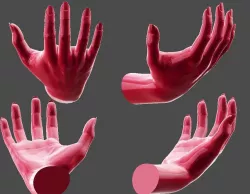 Detailed Female Hand Relaxed Pose 2  3D print model