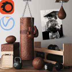 DIY Home Gym In A Box 3D model