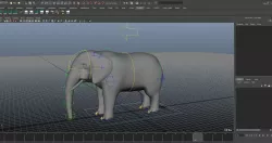 elephant rig 3D model