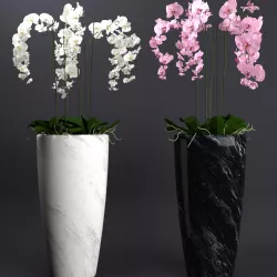 Floor staning orchid plant 3D model