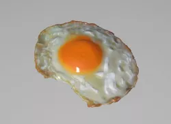 fried egg 3D model