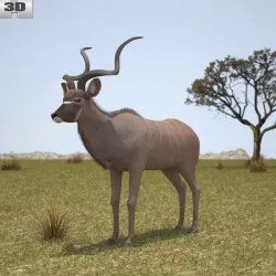 Greater Kudu 3D model