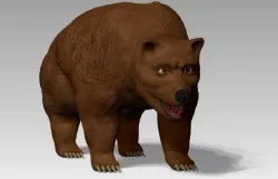 Grizzly Bear Low-poly  3D model