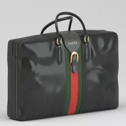 Gucci Luggage 3D model