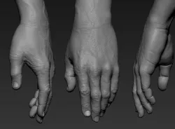 Hand Zbrush Realistic 3D model