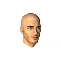Human Man Head 3D model 3D model