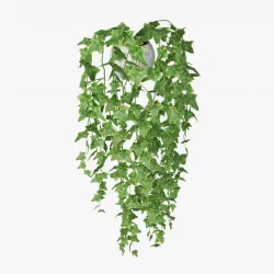 Ivy in pot 02 3D model