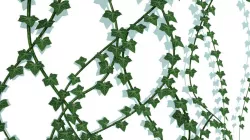 Ivy Vines Low poly Low-poly  3D model